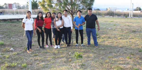 30 ÁRBOLES DE &quot;BENJAMINAS&quot; SE SIEMBRAN EN LA FCA CAMPUS VIII-COMITÁN.