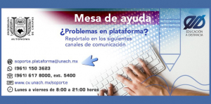¿Problemas en plataforma?