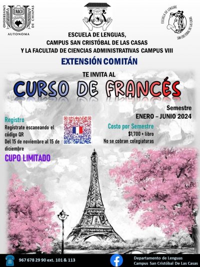 ¡PRÓXIMAMENTE... CURSO DE FRANCÉS!